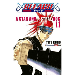 Bleach Vol.11 (Panini)