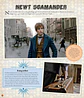 J.K. Rowling’s Wizarding World- Cine Magico 1: Gente Extraordinaria y Lugares Fascinantes - Miniatura 2