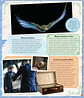 J.K. Rowling’s Wizarding World- Cine Magico 1: Gente Extraordinaria y Lugares Fascinantes - Miniatura 3
