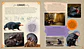 J.K. Rowling’s Wizarding World- Cine Magico 2: Criaturas Curiosas - Miniatura 2