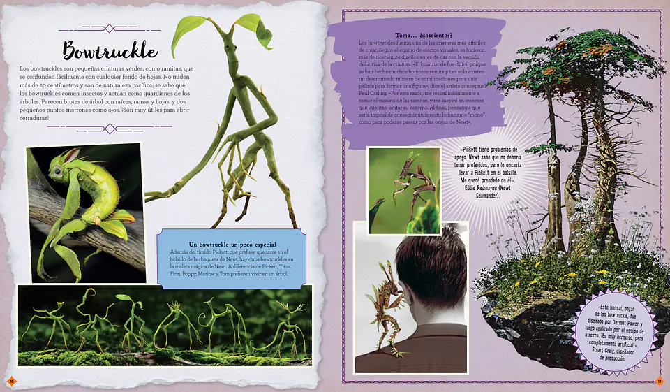 J.K. Rowling’s Wizarding World- Cine Magico 2: Criaturas Curiosas 5