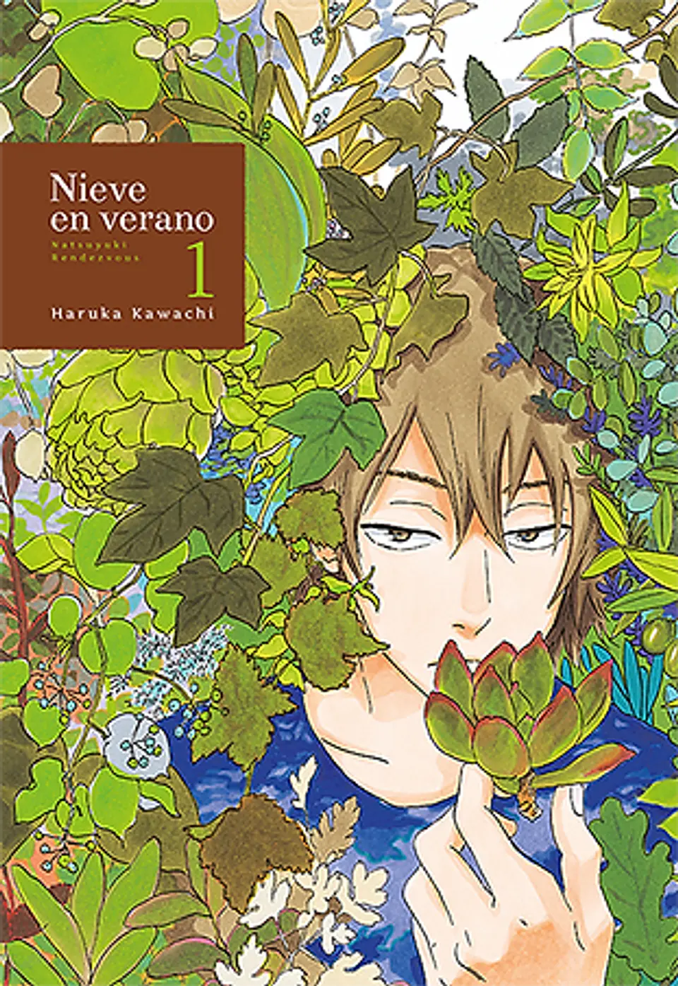 Nieve En Verano Vol.01 Natsuyuki Rendezvous  1