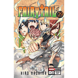 Fairy Tail N°29 