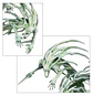 Nighthaunt: Spirit Hosts - Huestes Espectrales - Thumbnail 5
