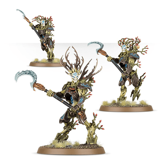 Sylvaneth Kurnoth Hunters