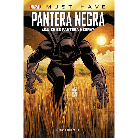 Pantera Negra - ¿Quién es Pantera Negra? - Must Have 
