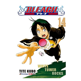 Bleach Vol.14 (Panini)