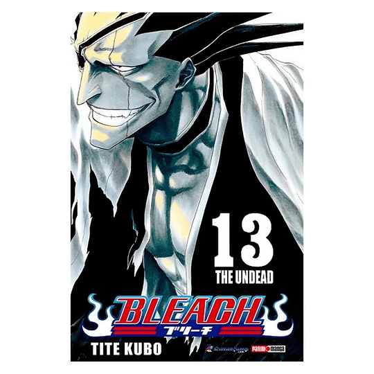 Bleach Vol.13 (Panini) 