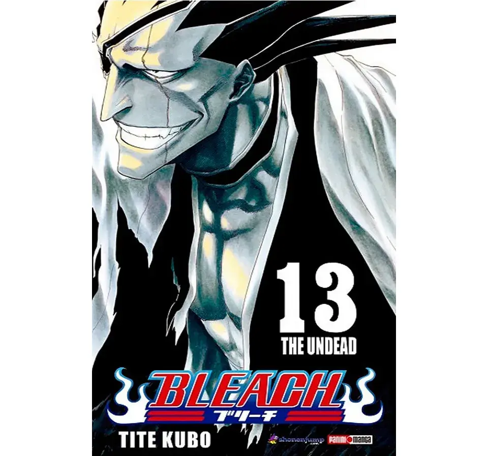 Bleach Vol.13 (Panini)  1