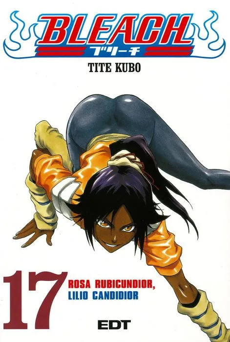 Bleach Vol.17 (Panini)
