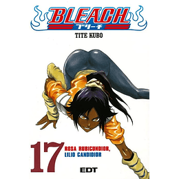 Bleach Vol.17 (Panini) 