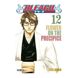 Bleach N°12 (Detalle Bordes) 