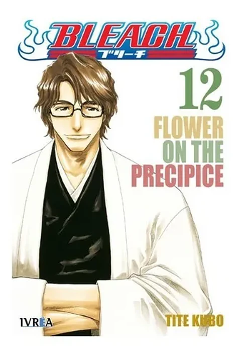 Bleach N°12 (Detalle Bordes) 