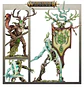 Vanguard: Sylvaneth  - Miniatura 5