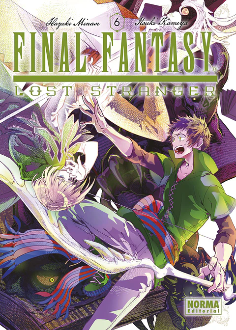 Final Fantasy Lost Stranger Vol.06 