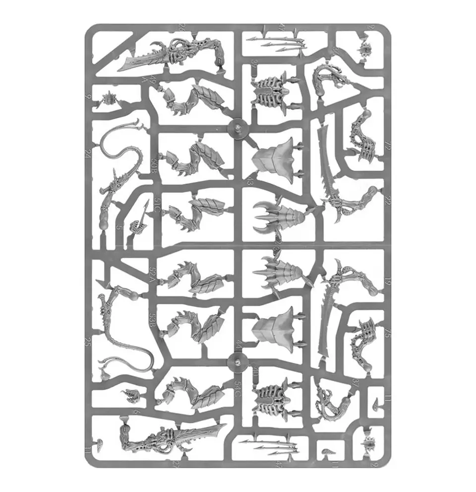 Tyranids: Warriors - Guerreros Tiránidos  6