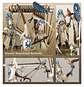 Lumineth Realm-Lords: Vanari Starshard Ballista - thumbnail 2