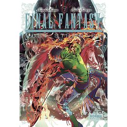 Final Fantasy Lost Stranger Vol.07 