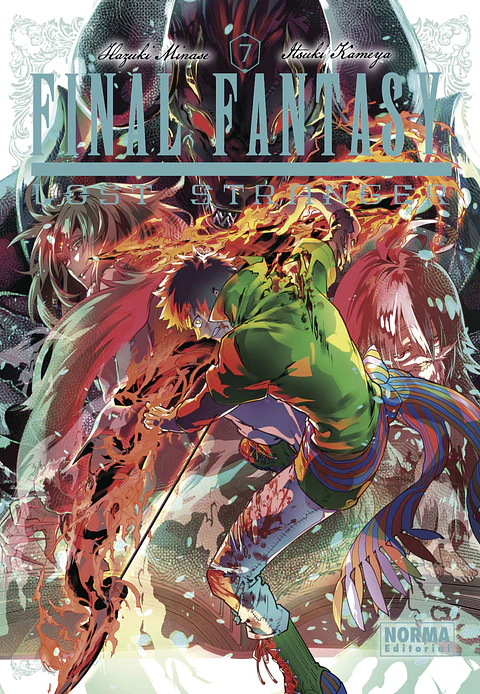 Final Fantasy Lost Stranger Vol.07 