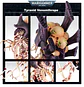 Tyranid Venomthropes - Thumbnail 3