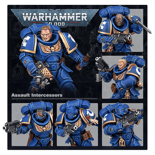 Space Marines: Assault Intercessors