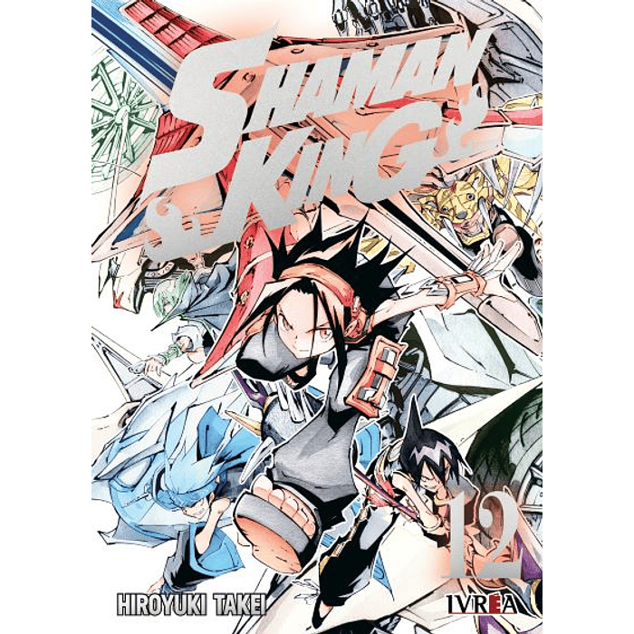 Shaman King N°12 