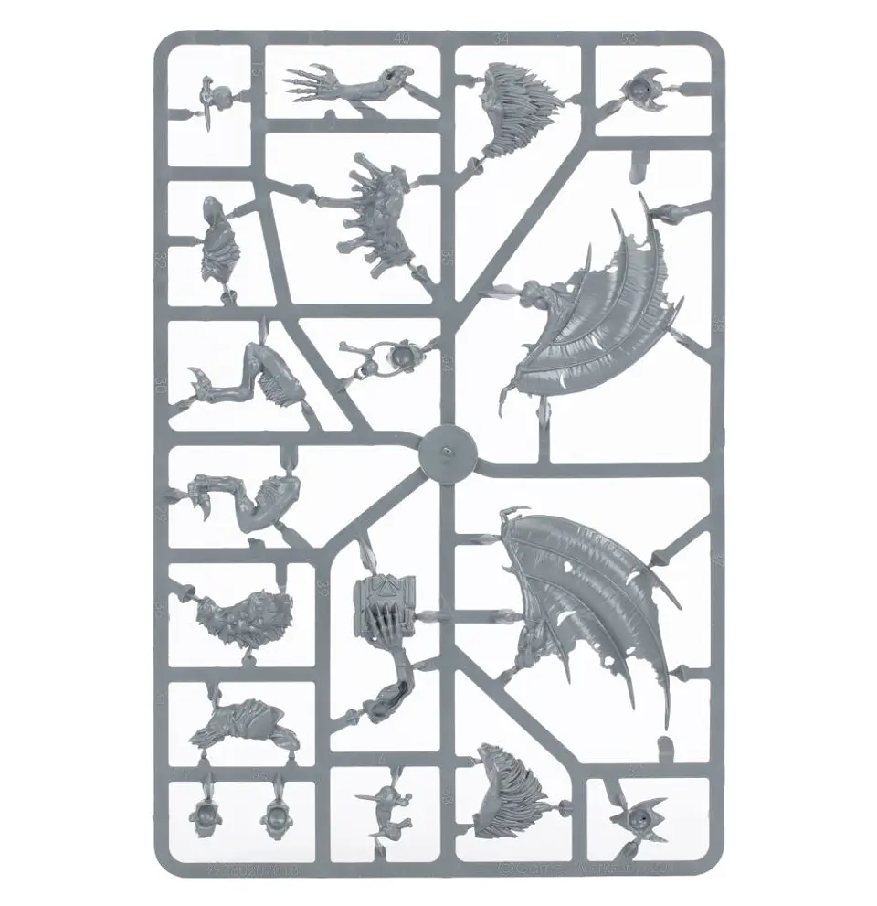 Flesh-Eater Courts: Jerrion's Delegation - Dawnbringers   12