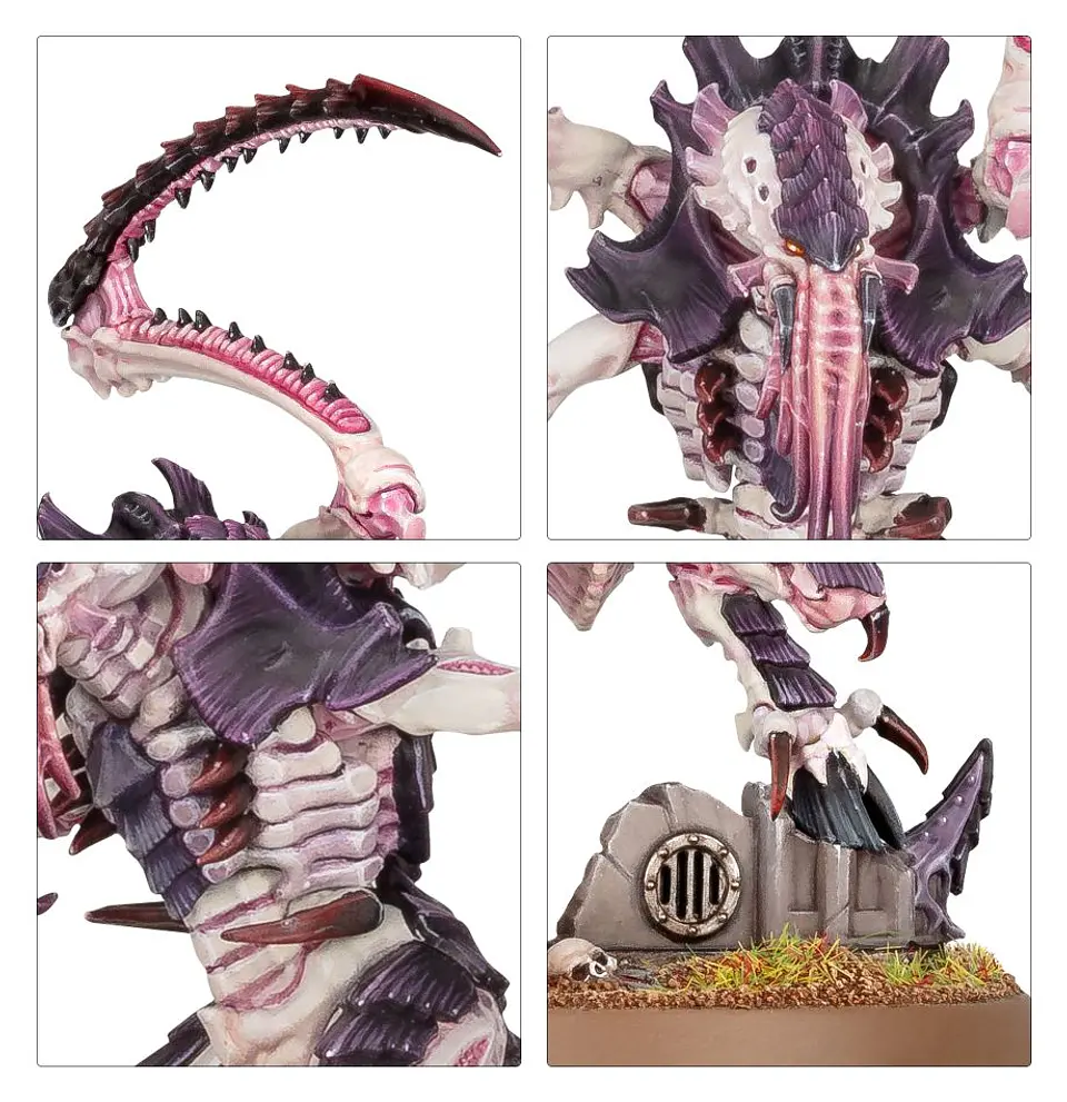 Tyranids: Lictor  4