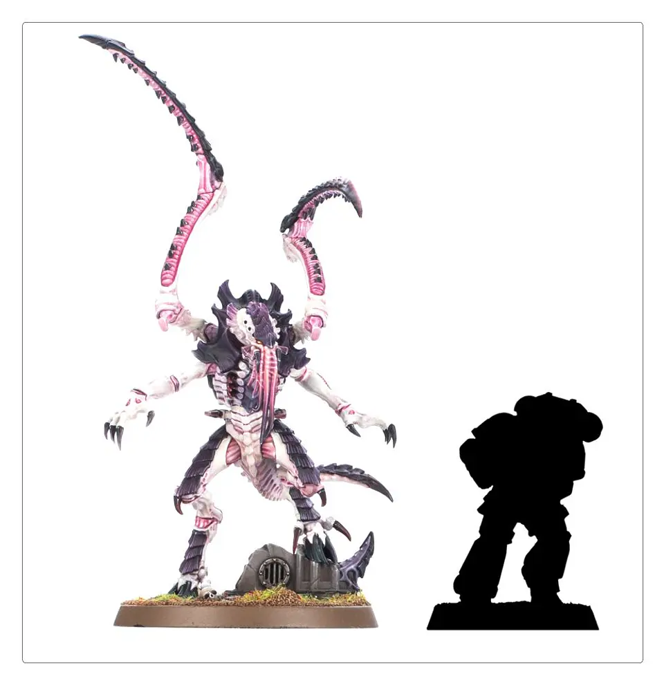Tyranids: Lictor  6