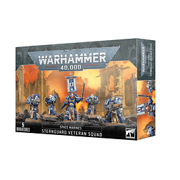 Space Marines: Sternguard Veteran Squad 
