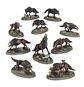 Soulblight Gravelords: Vengorian Court - Miniatura 9
