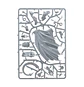 Stormcast Eternals: Ionus Cryptborn  - thumbnail 5