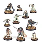 Warcry: Royal Beastflayers  - Thumbnail 2