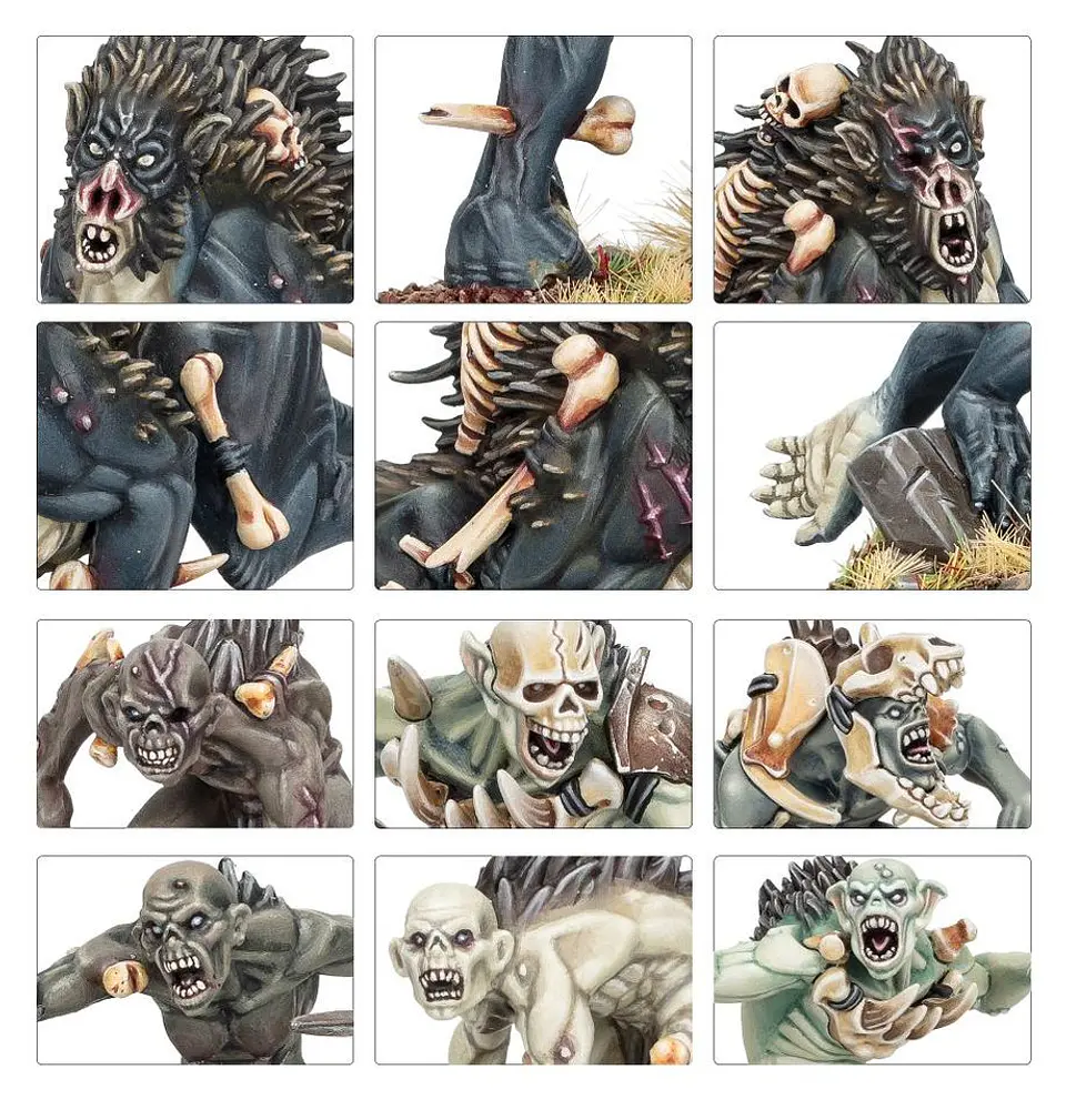 Warcry: Royal Beastflayers  3