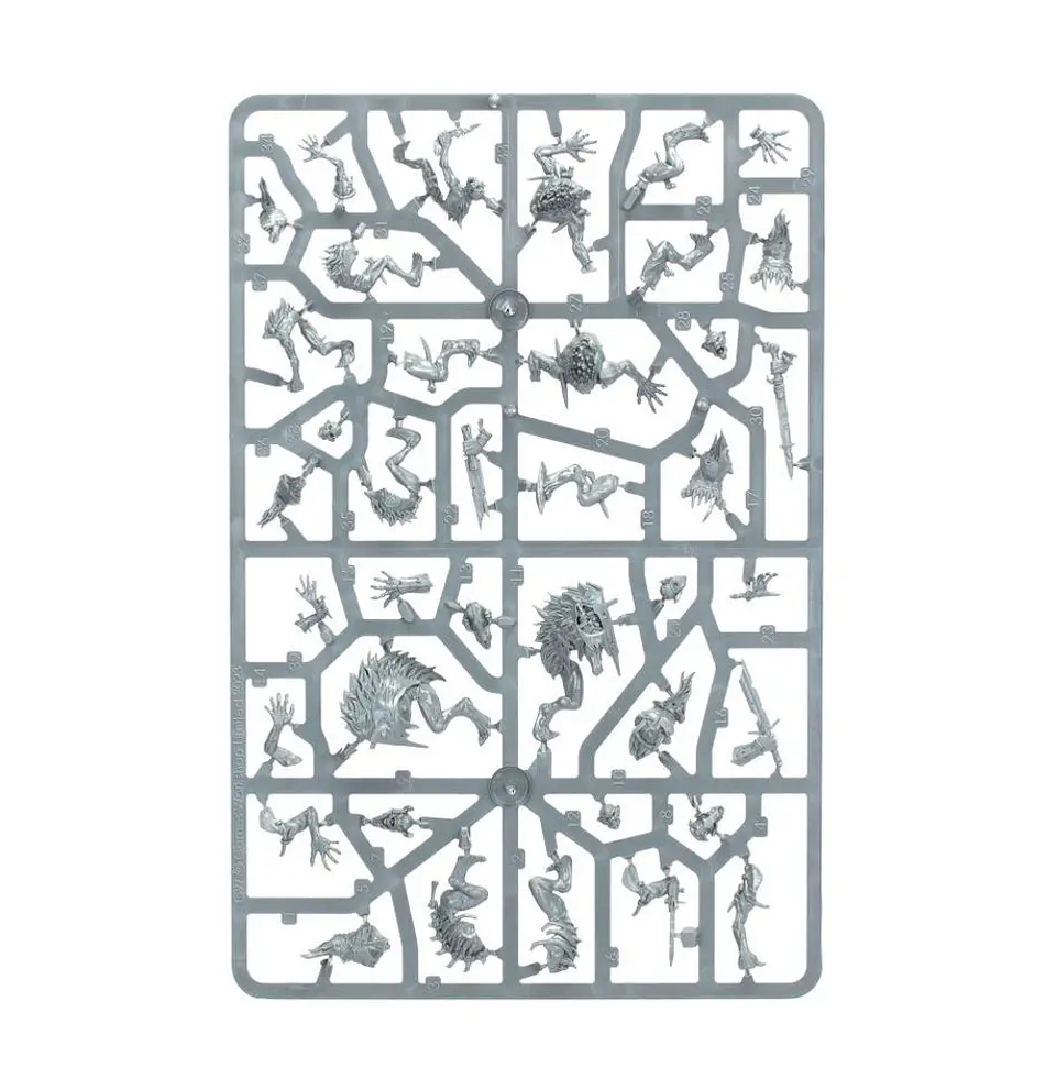 Warcry: Royal Beastflayers  6