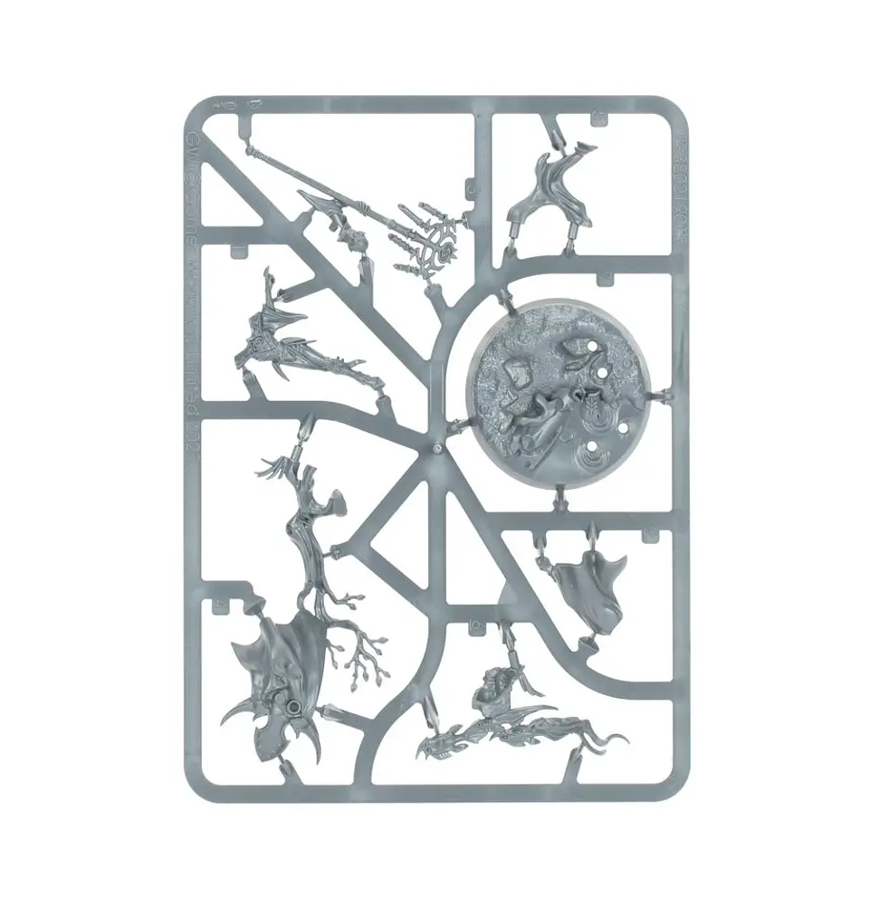 AOS Blacktalon: The Blacktalons  6