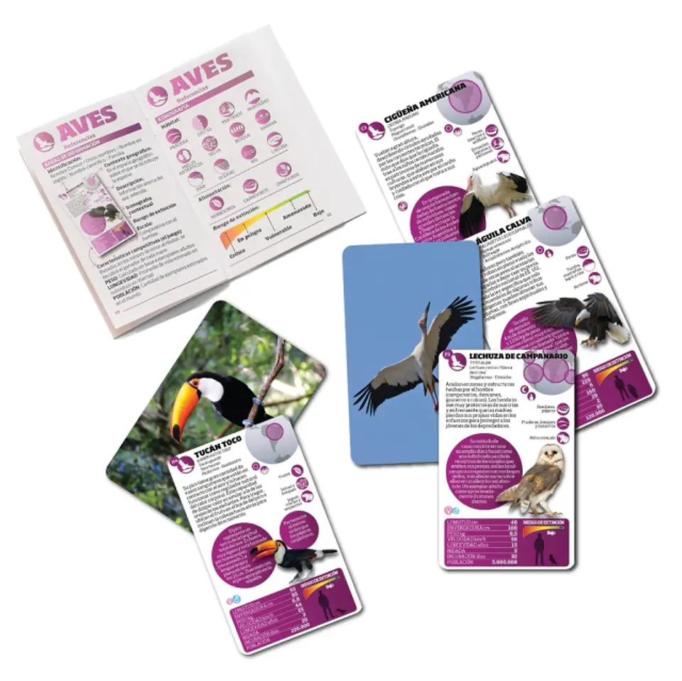 Luminias: Aves  2