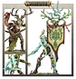 Sylvaneth: Spearhead  - Thumbnail 5