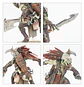 T'au Empire: Kroot Flesh Shaper  - Miniatura 2