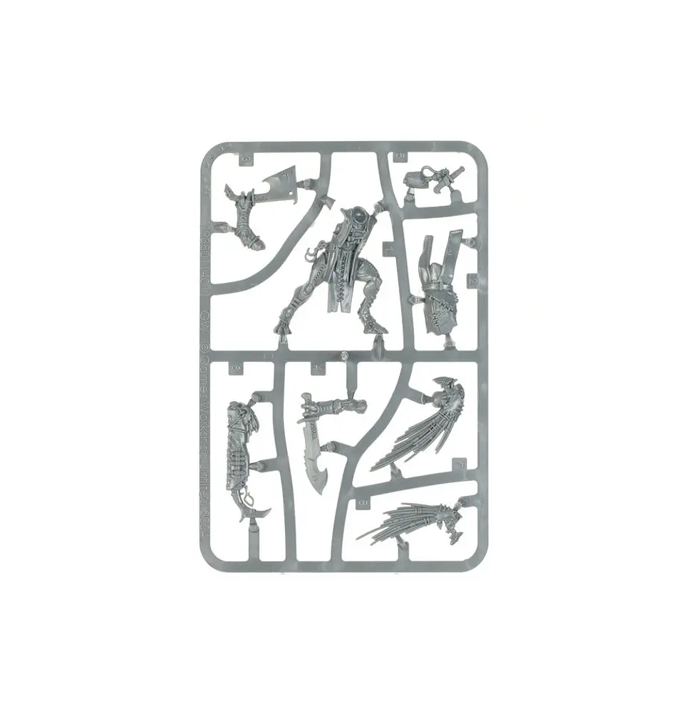 T'au Empire: Kroot Flesh Shaper  3