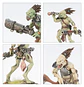 T'au Empire: Krootox Carnivores  - Miniatura 4