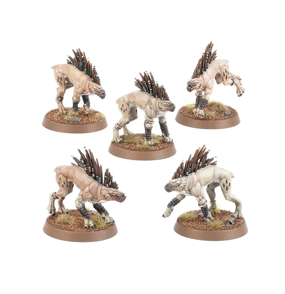 T'au Empire: Kroot Hounds  2