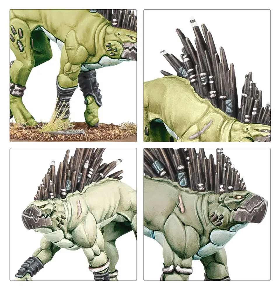 T'au Empire: Kroot Hounds  4
