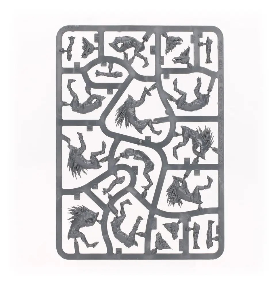 T'au Empire: Kroot Hounds  5