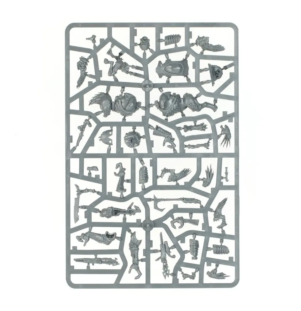 T'au Empire: Krootox Rampagers  5