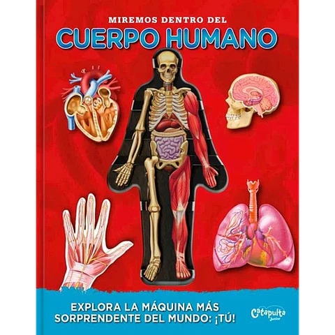 Miremos dentro del Cuerpo Humano 