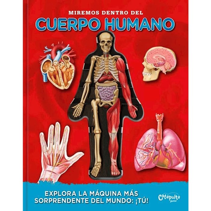 Miremos dentro del Cuerpo Humano 