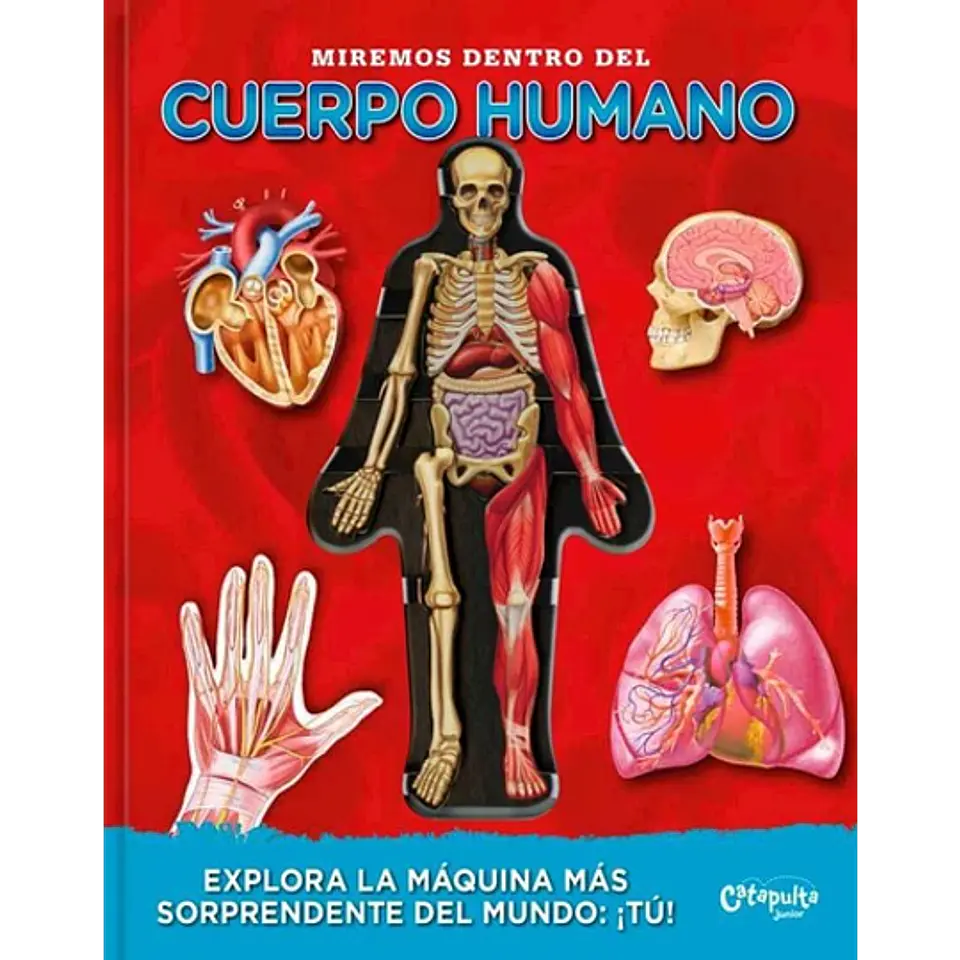 Miremos dentro del Cuerpo Humano  1