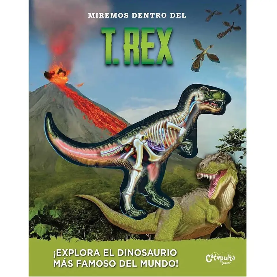 Miremos dentro del T-Rex  1