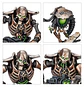 Combat Patrol: Necrons  - thumbnail 8
